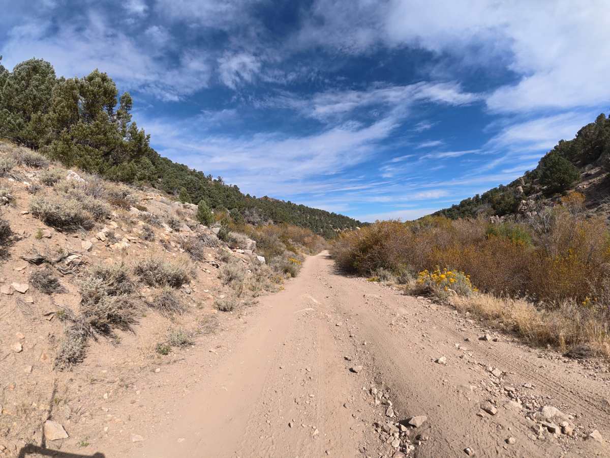 Masonic Gulch photo 2