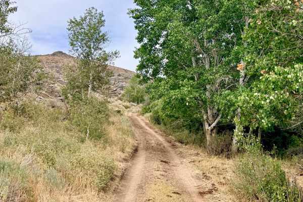 Horse Creek - FS 57506
