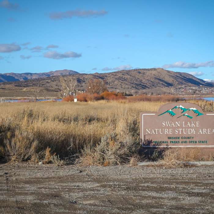 Near Swan Lake Nature Trail Near Swan Lake Nature Trail