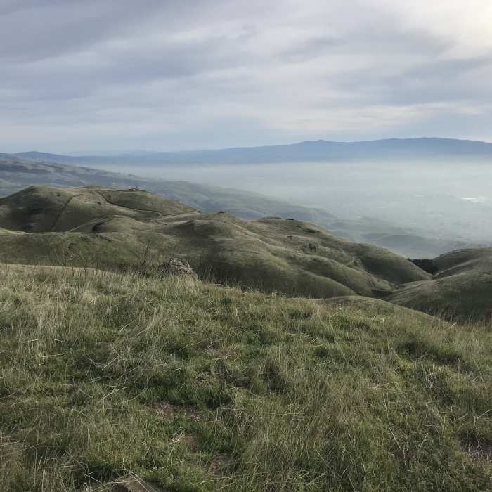 Near Monument Peak Summit Out and Back