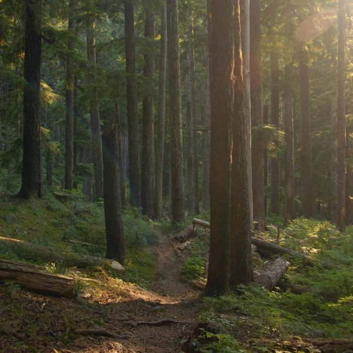 Near Serene + Rock Lakes