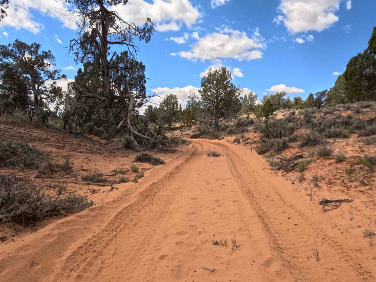 BLM 101F trail photo
