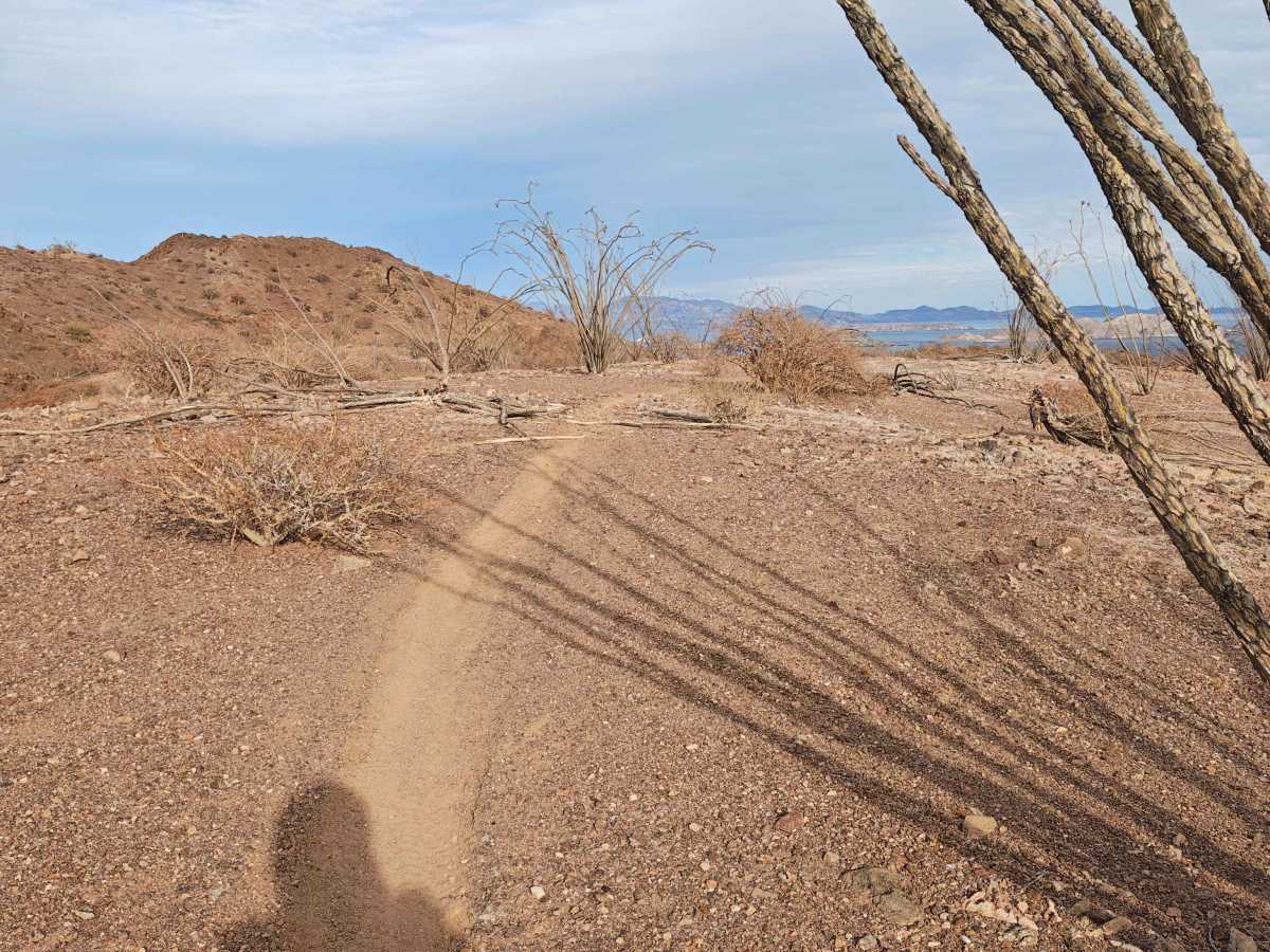 BLA Side Route - Single Track trail photo