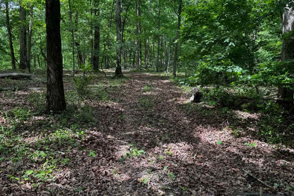 Inner Trail 1