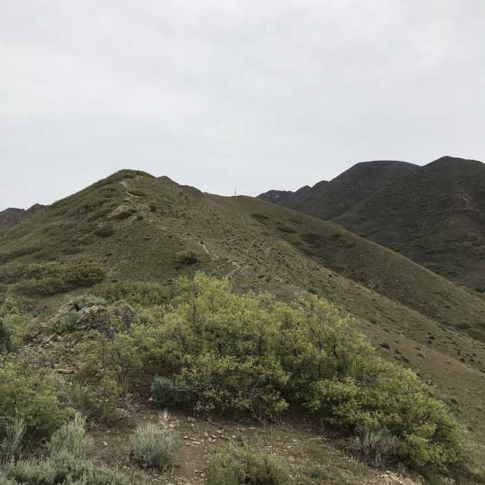 Near Jack's Mountain