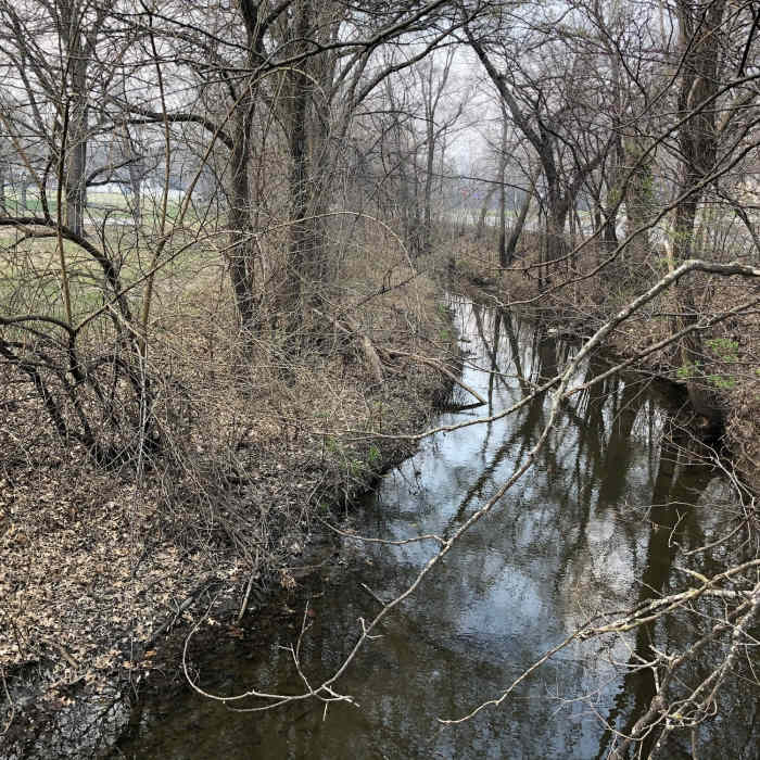 Near Park Path