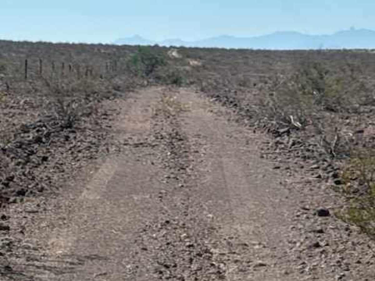 BLM PE1018 photo 4