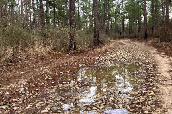 Bullard Church Road - SR 54