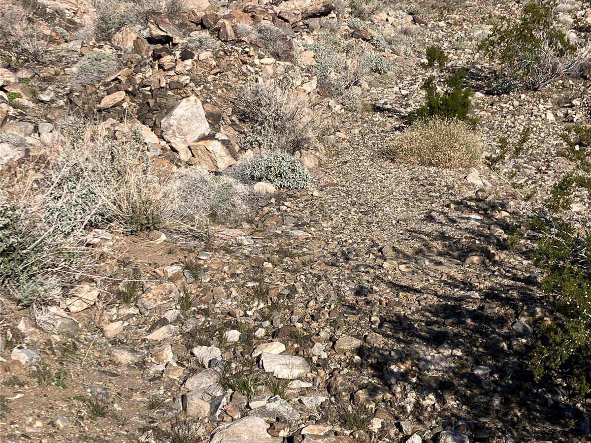 White House Loop photo 5