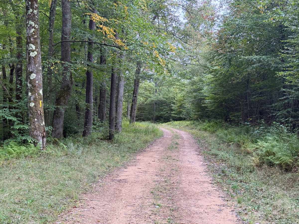 North Branch - FS 293 photo 5