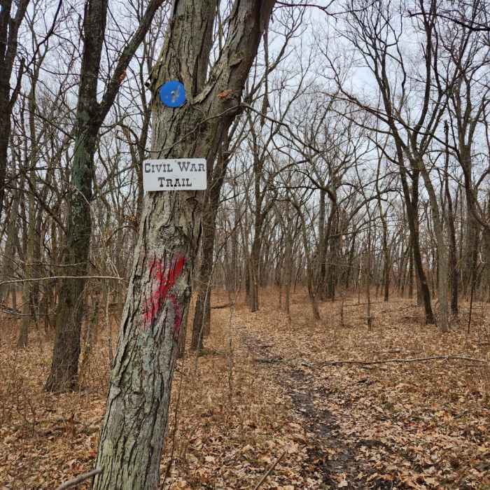 Near Lone Jack civil war trail