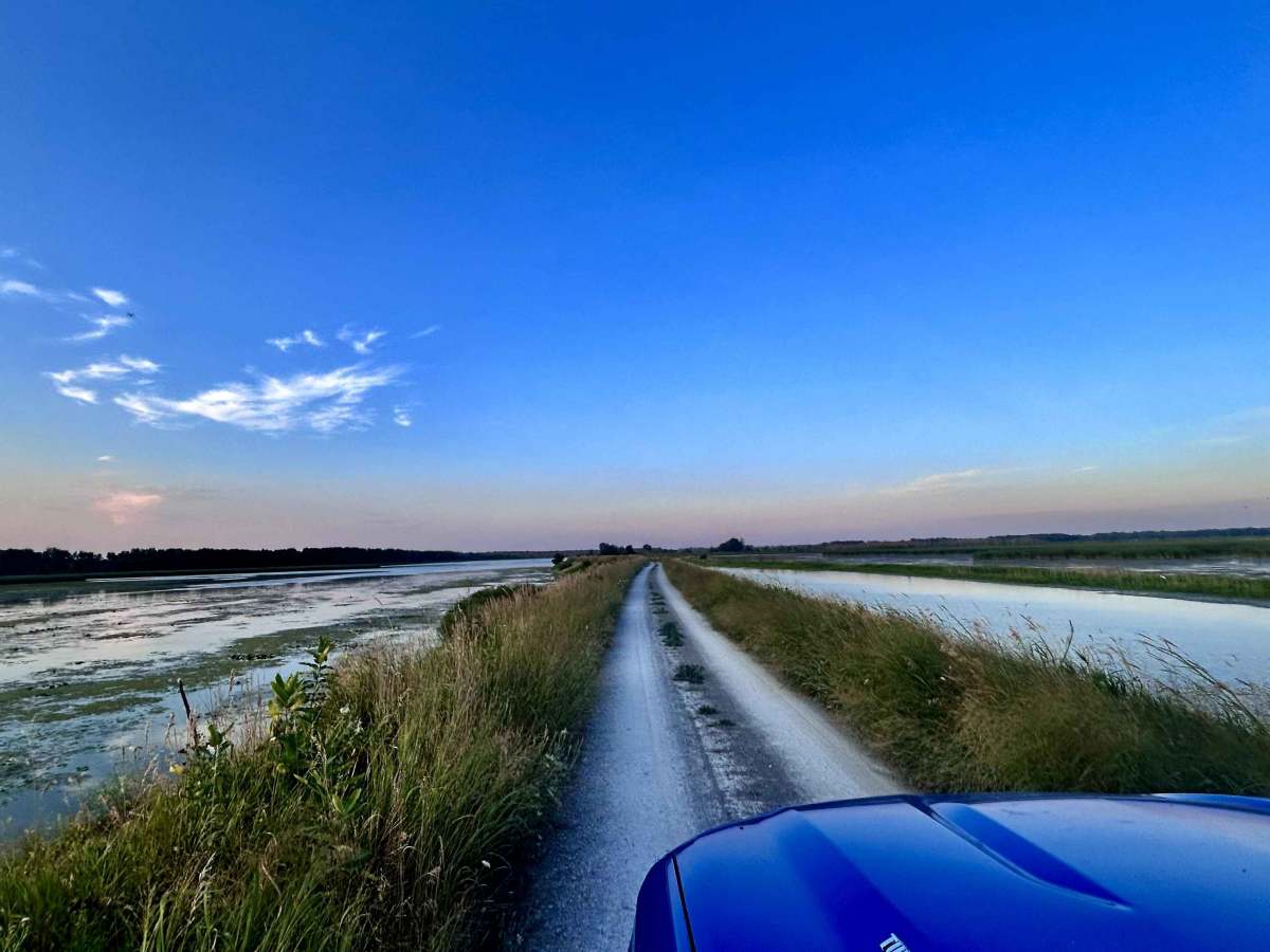 Wildlife Drive trail photo
