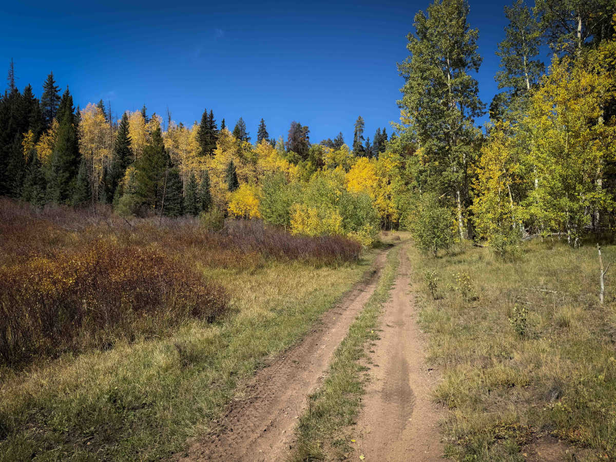Beaver-McIntyre Trail - FS 472  trail photo