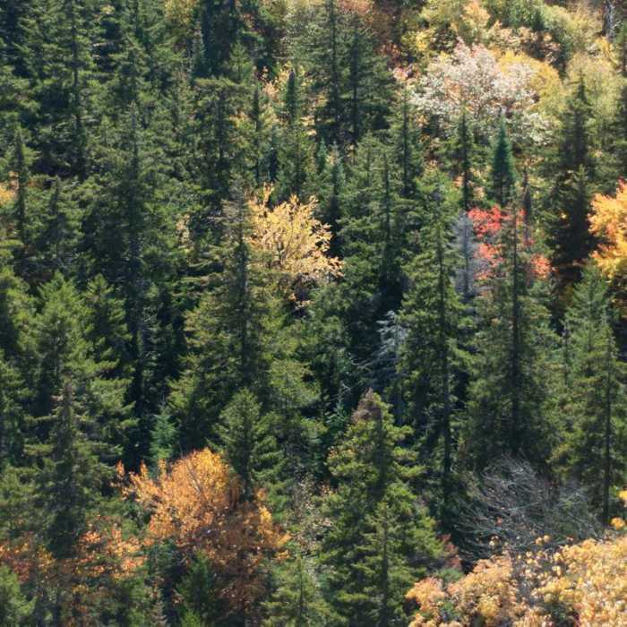 Near Indian Head + Fishhawk Cliffs Near Indian Head + Fishhawk Cliffs