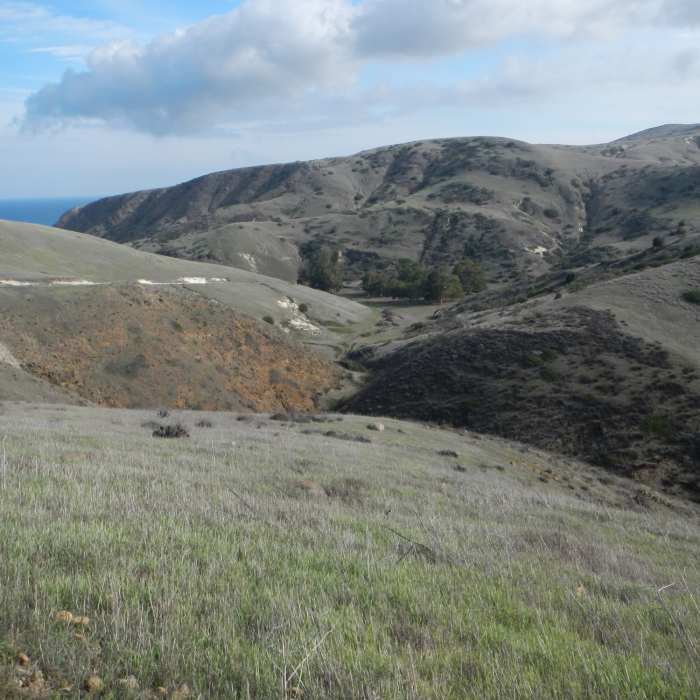 Near Potato Harbor Loop