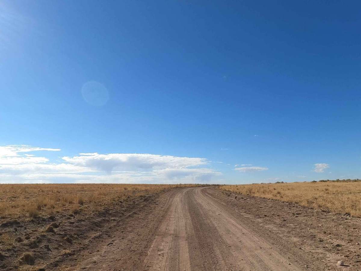 Bogus Ranch Road photo 2