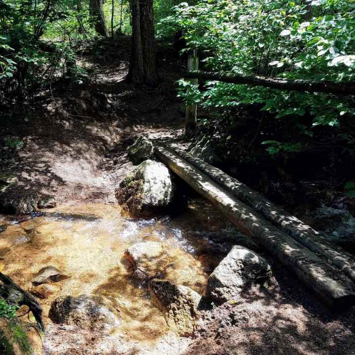 Near Section 16 to Jones Park (and back) Mountain Ramble