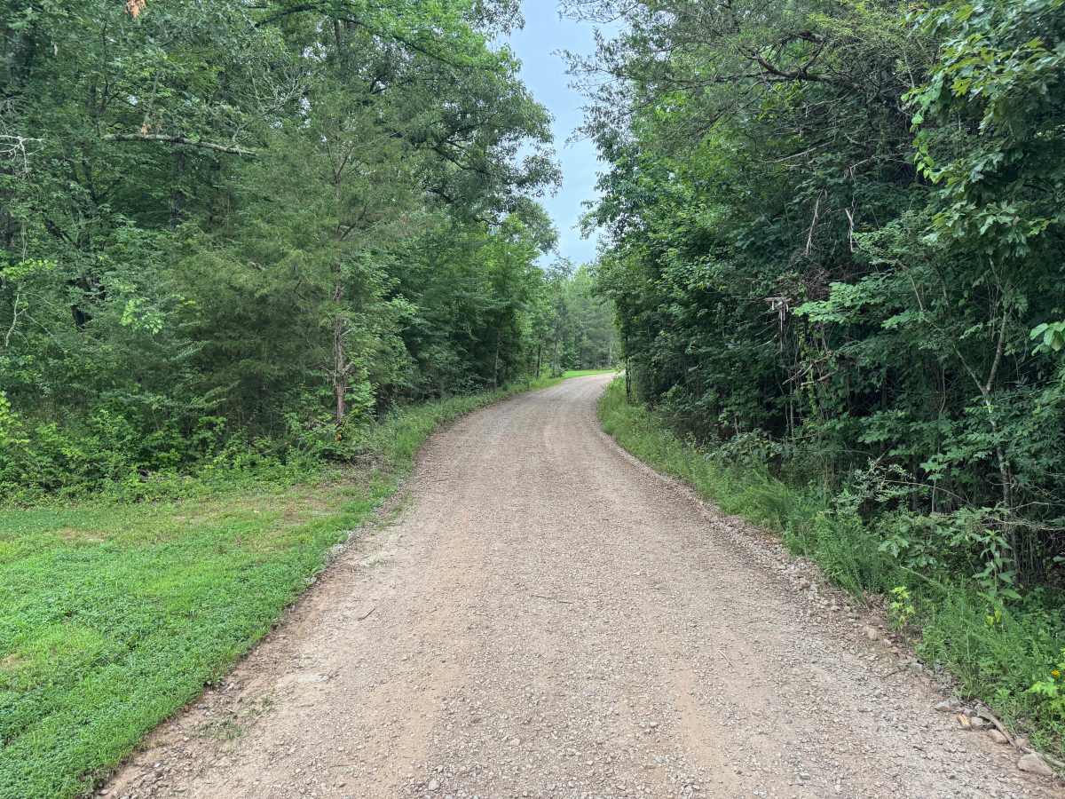 County Road 3380 photo 2