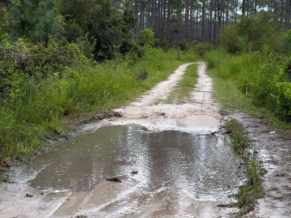 Osceola 277-B photo 6