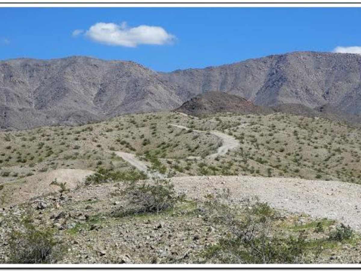 Kingman Wash photo 3
