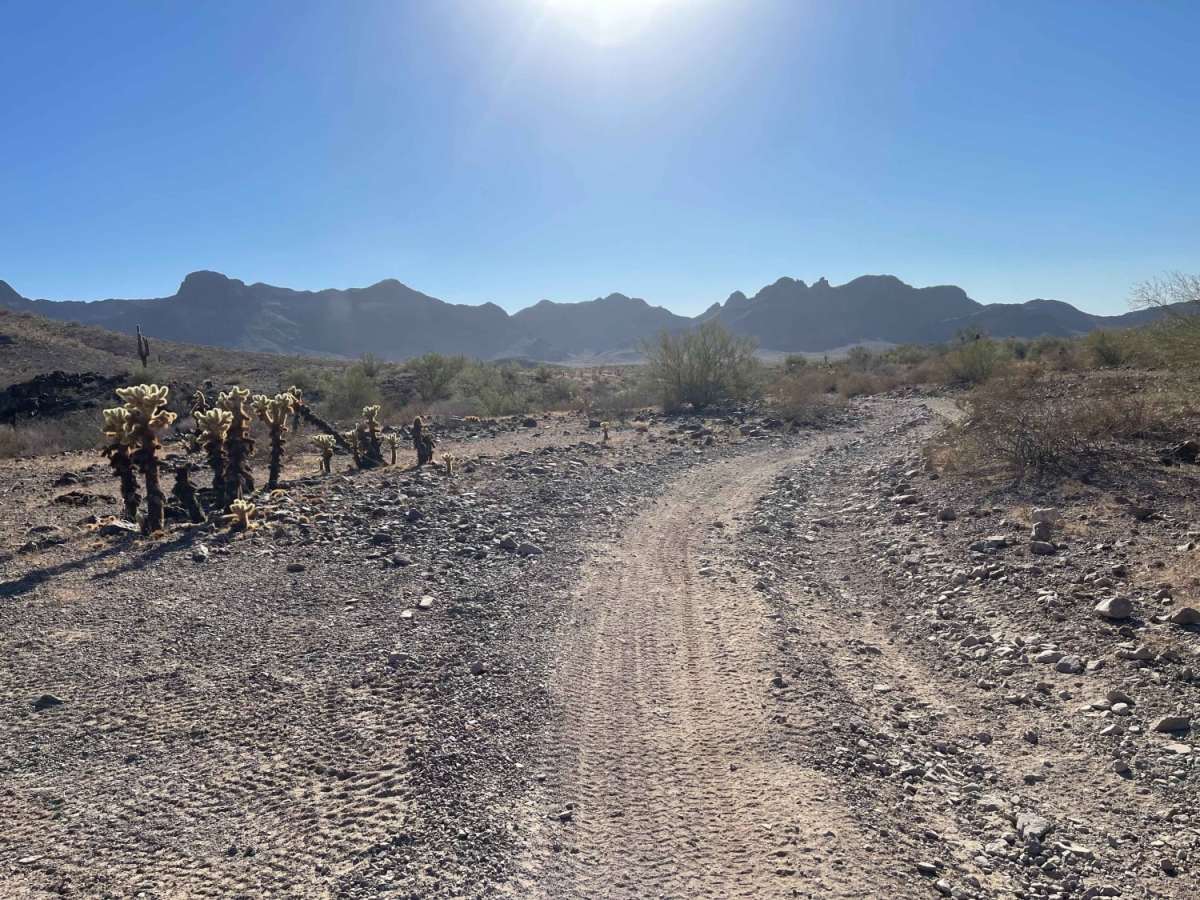 AZ Peace Trail Preacher Pass Cutover Back to Main Trail photo 6