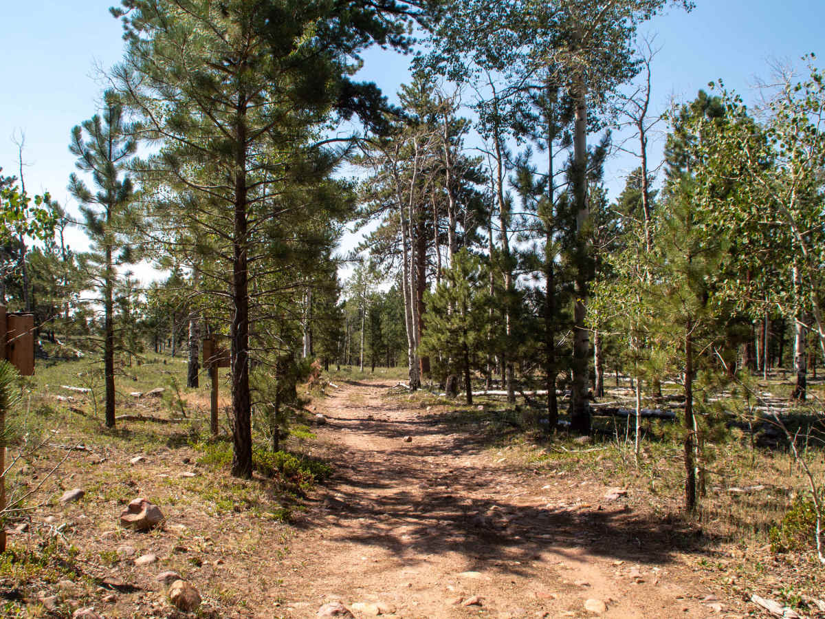 Crow Canyon - FS 10266 photo 4