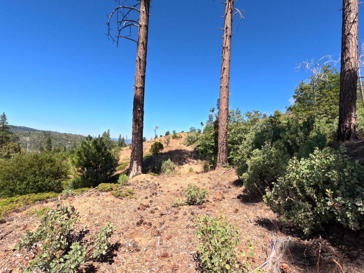 FS 1S41A trail photo