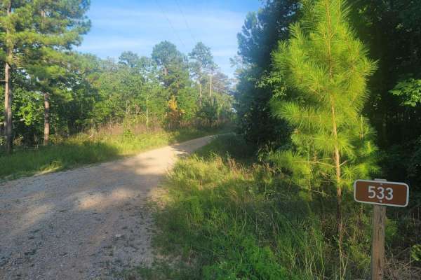 533 - Vaughn Road