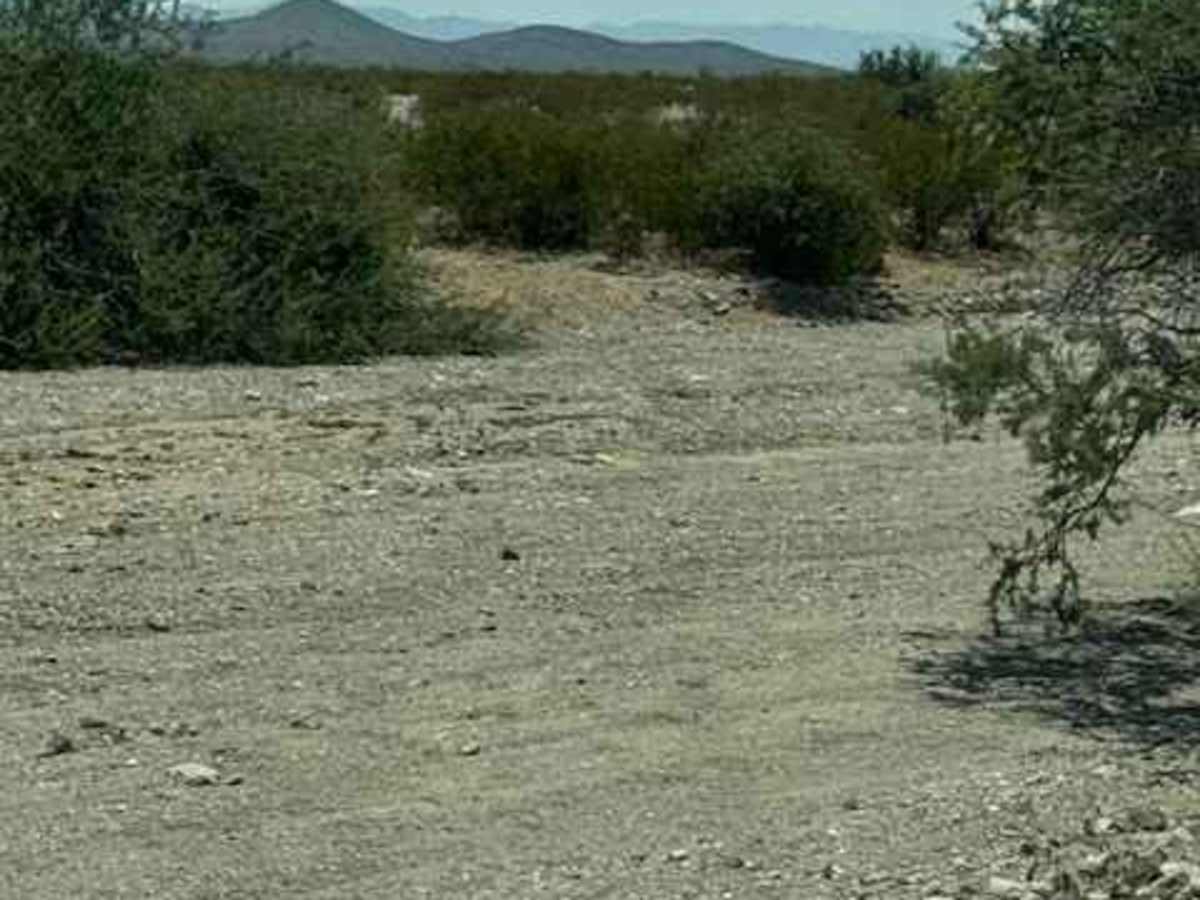 SS1170 - Part B photo 4