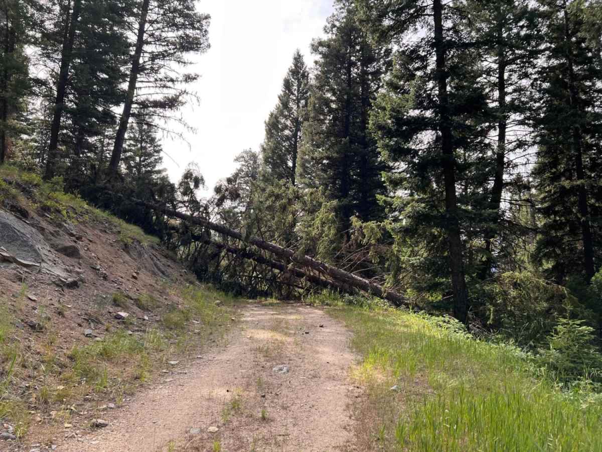 West Jennings photo 4