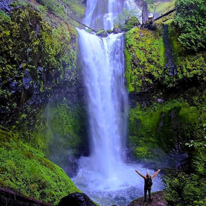 Near Falls Creek Falls Loop