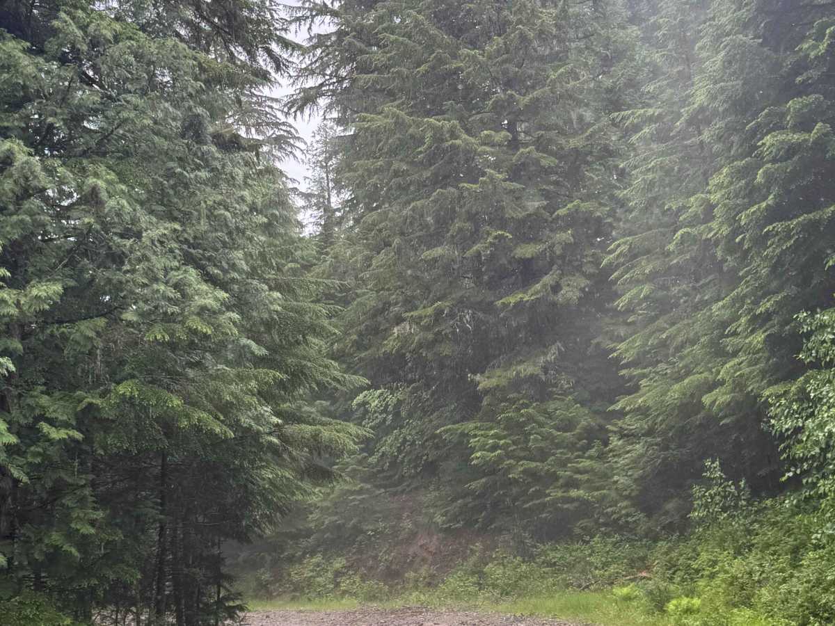 Tango Creek - FS 638 photo 6