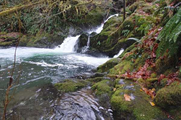 Graves Creek Camp Trail