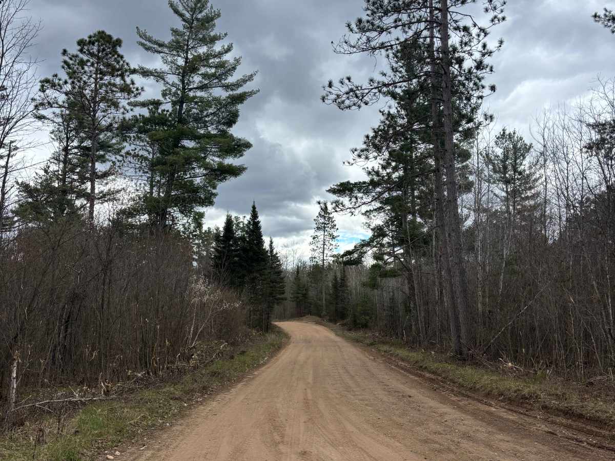 East Butler Rock Road - FS 5556 photo 2