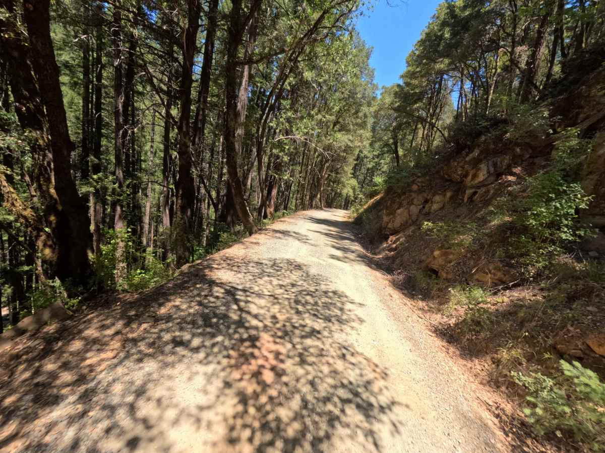 Lavezzola Road photo 4