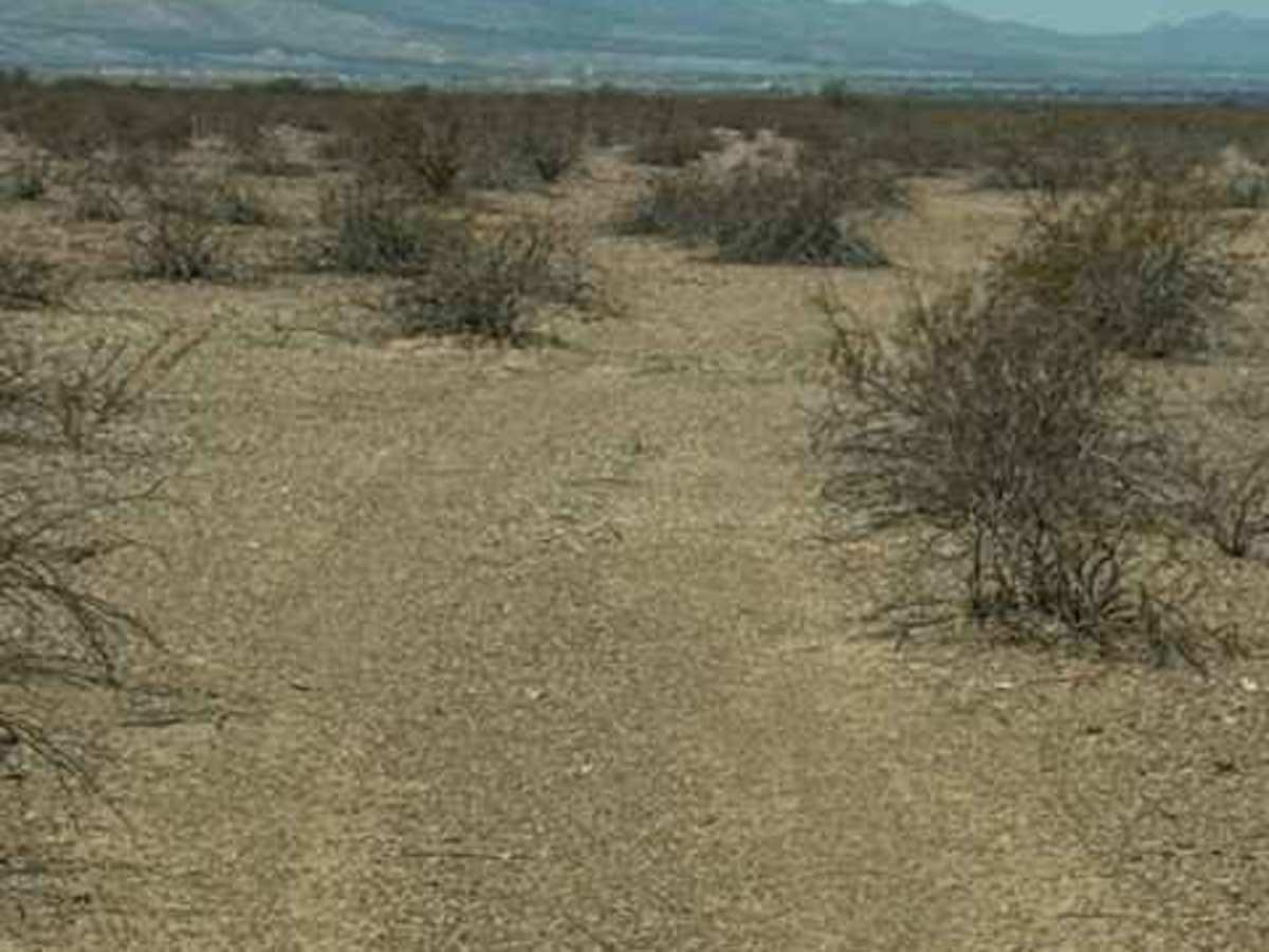 BLM PE1010 photo 2