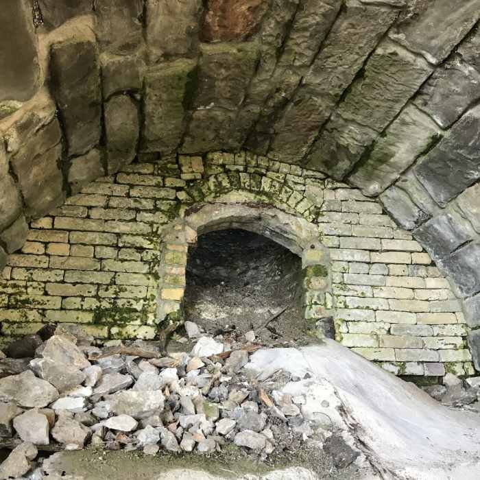 Near Lime Kiln Point Loop