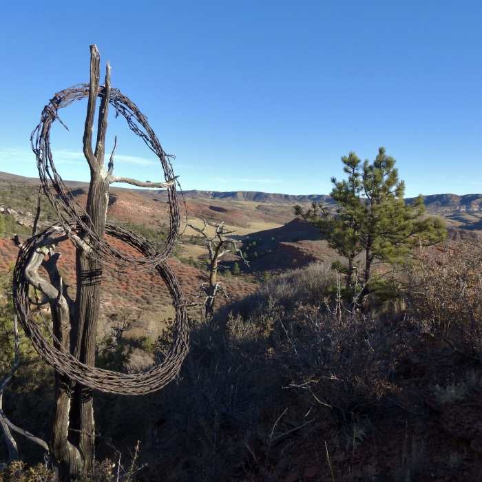 Near K-Lynn Cameron Trail