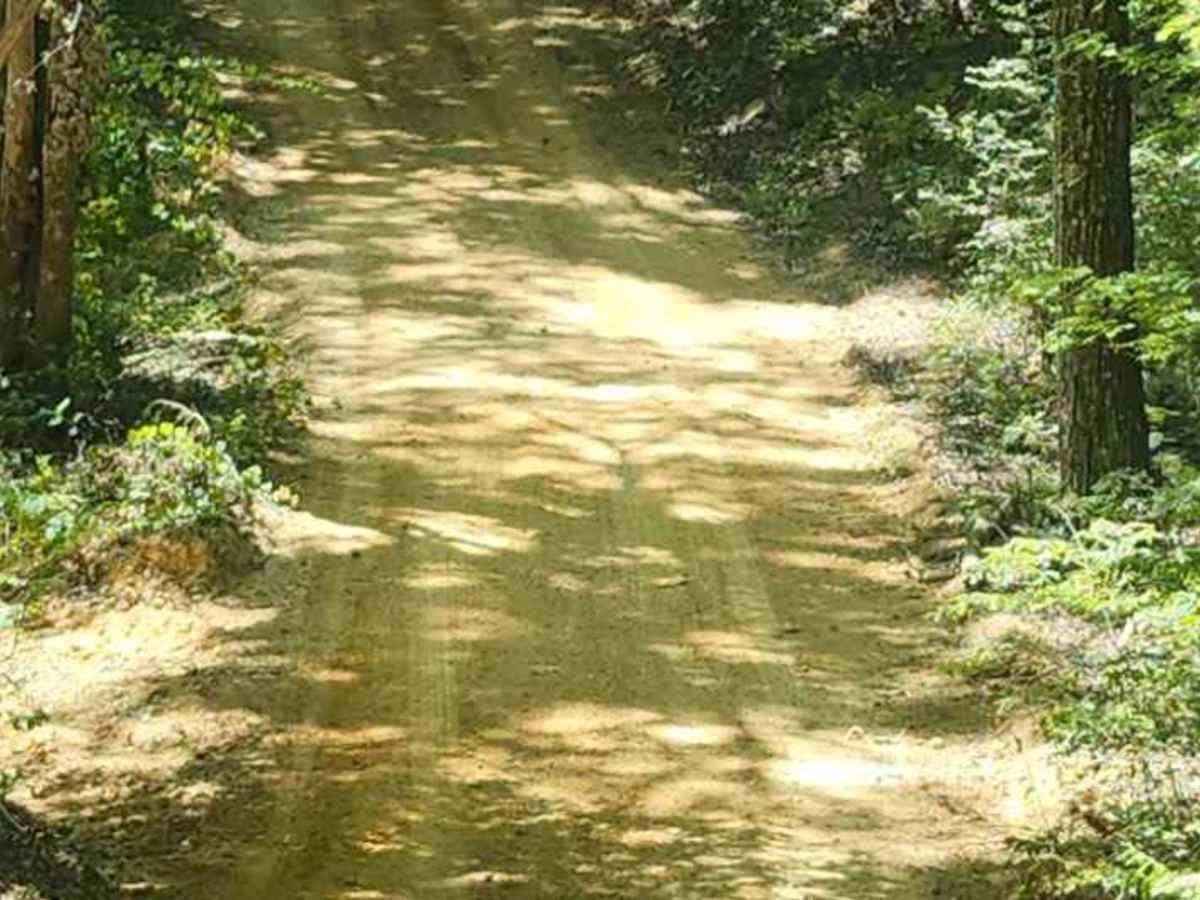 Short Creek Loop Road photo 3