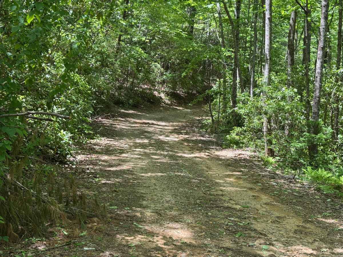 Rock Creek Lake - FS 69A photo 6