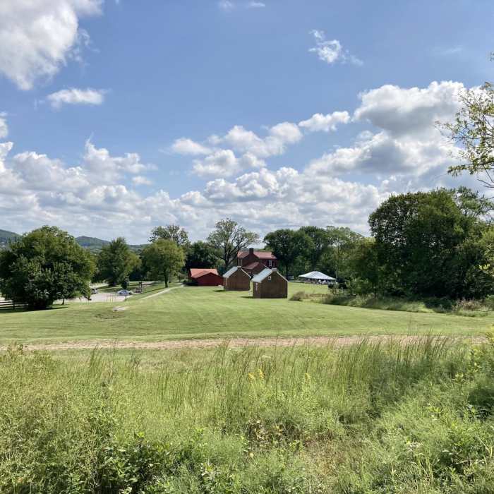 Near Black, Blue, Green, and Red Trails
