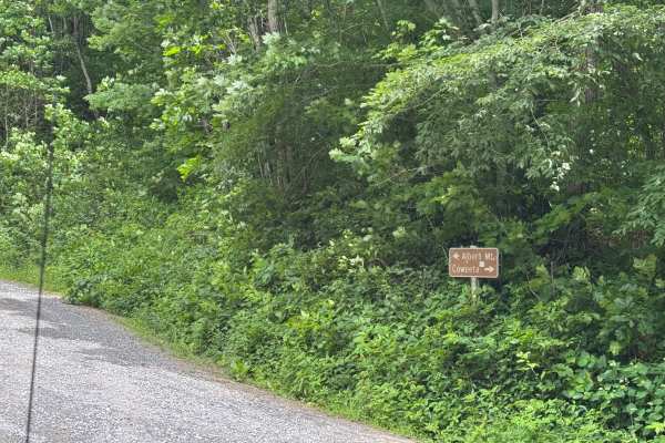 Upper Nantahala - FS 67