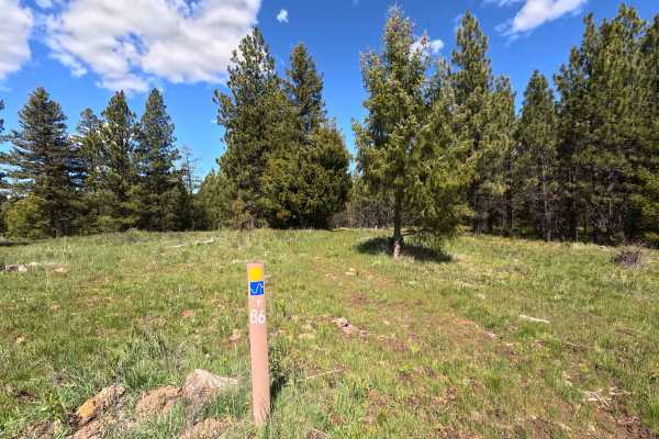 Trail 86