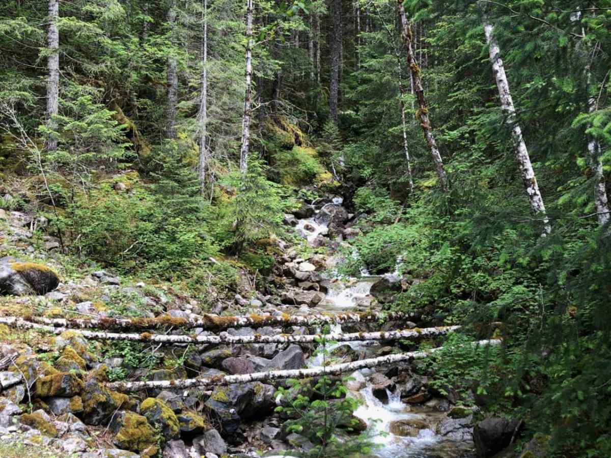 Middle Fork/Goldmeyer Rd trail photo