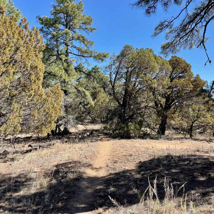 Near Continental Divide Trail: New Mexico Section 6