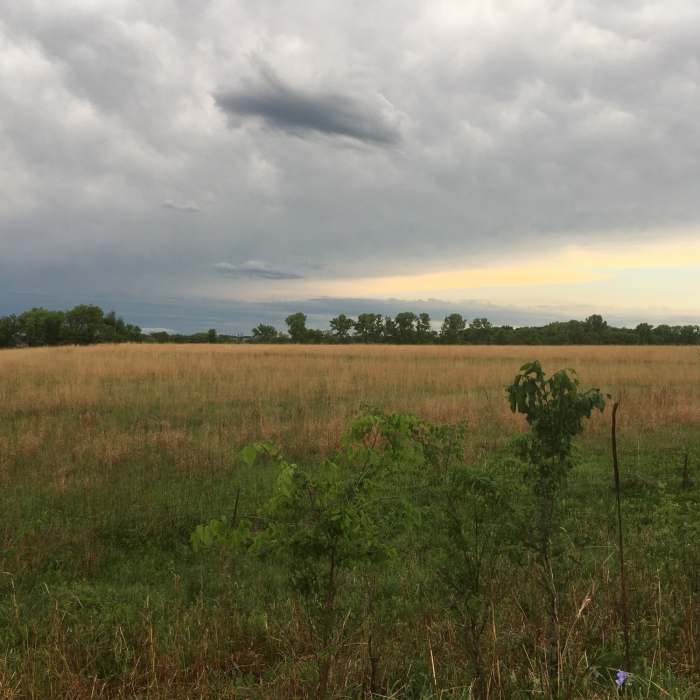 Near West Flint Hills Nature Trail