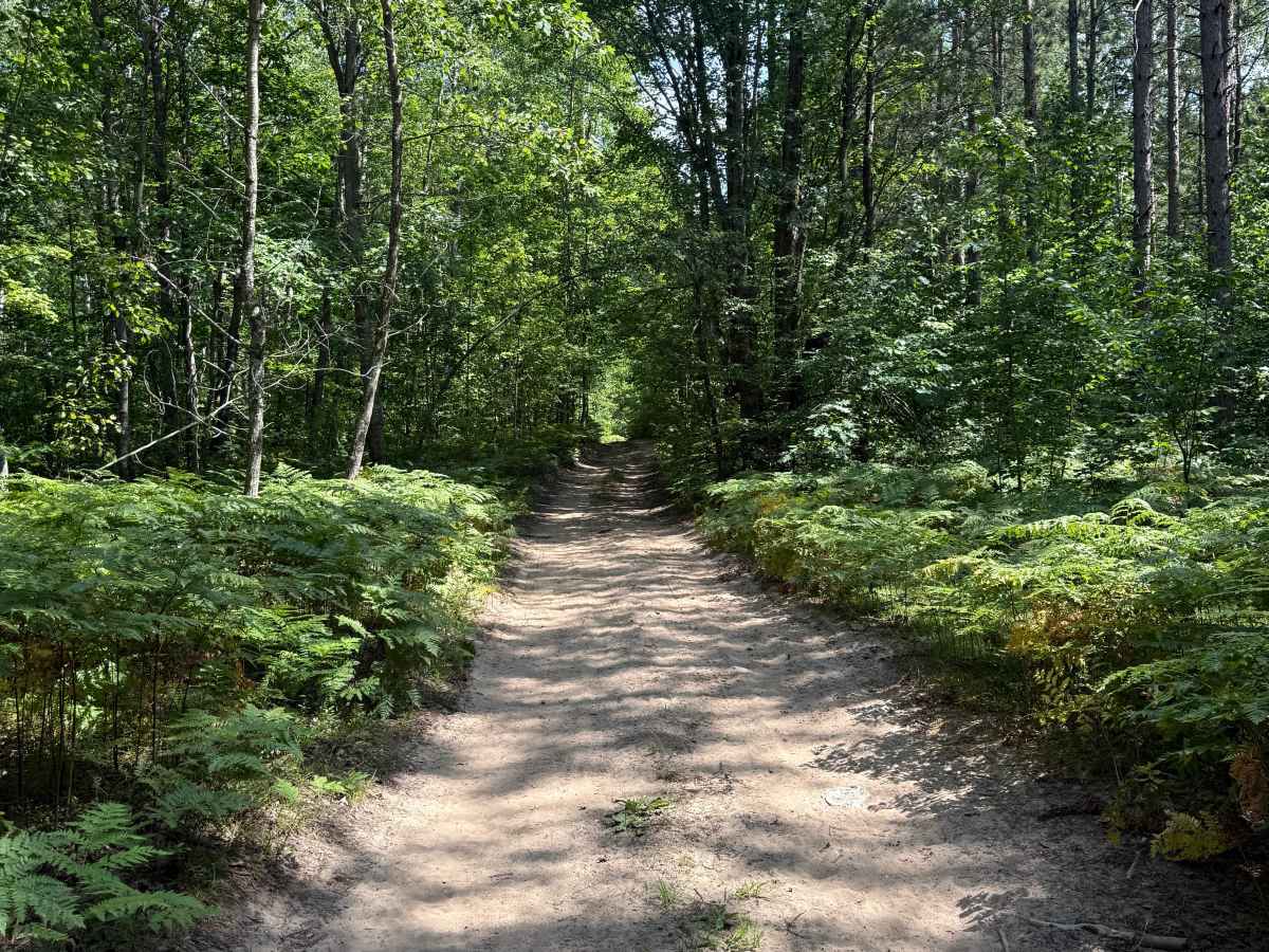 S 29 Trail photo 3