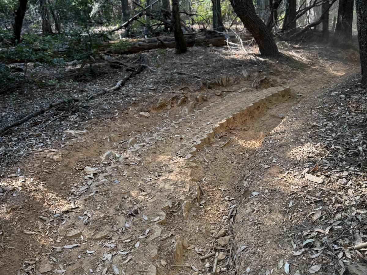 Trail 5 (11E31)   photo 3