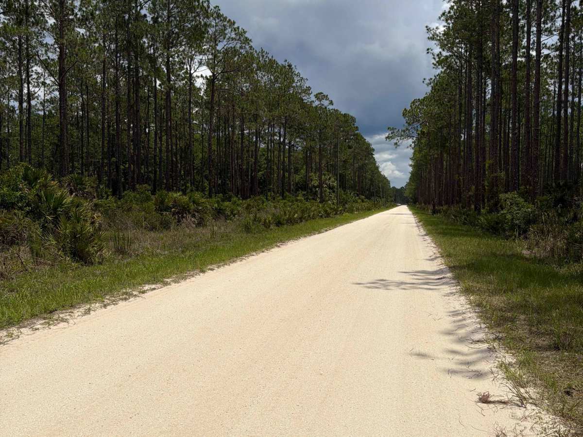 Petersen Road photo 4