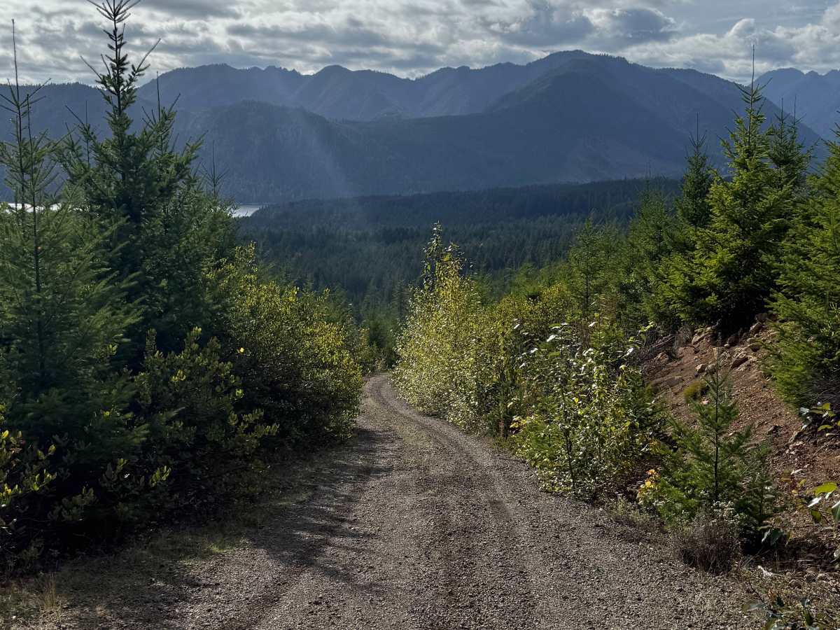 DNR Road 124 photo 2